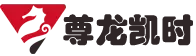 中国尊龙集团