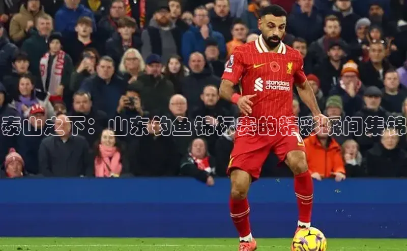 人生就是博·(中国)